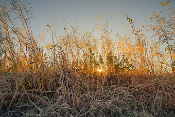 Image showing Natural landscape