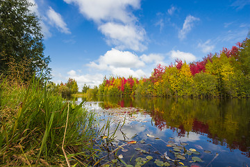 Image showing Autumn approaches