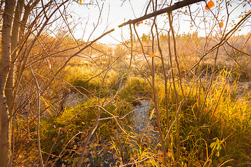 Image showing Natural landscape