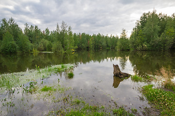 Image showing Forest Lake    