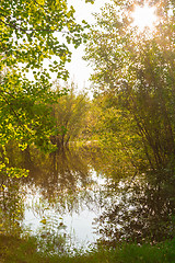 Image showing Forest Lake    