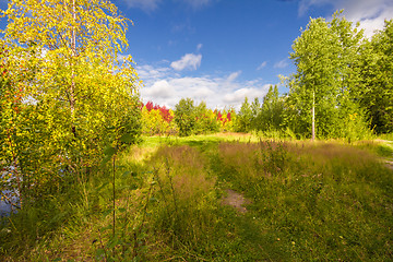 Image showing Autumn approaches