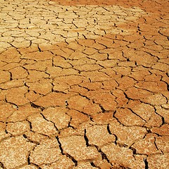 Image showing Dry lake bed