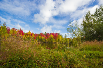 Image showing Autumn approaches