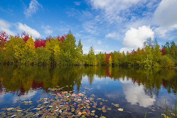 Image showing Autumn approaches