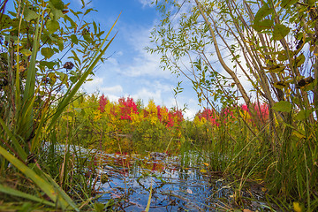 Image showing Autumn approaches