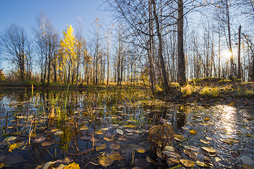 Image showing Natural landscape