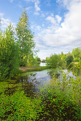 Image showing Forest Lake    