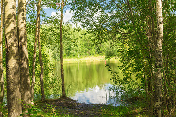 Image showing Forest Lake    