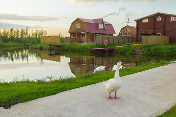 Image showing At the pond  