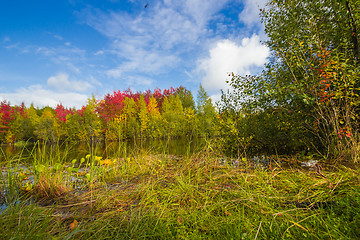 Image showing Autumn approaches