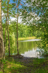 Image showing Forest Lake    