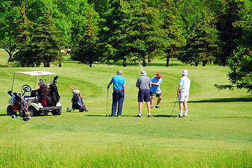 Image showing Seniors golfing