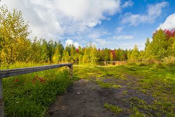 Image showing Autumn approaches