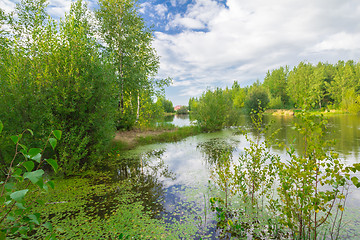 Image showing Forest Lake    