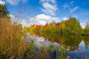 Image showing Autumn approaches