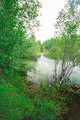 Image showing Forest Lake    