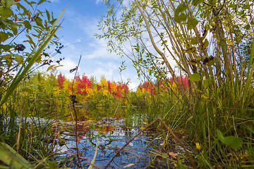 Image showing Autumn approaches