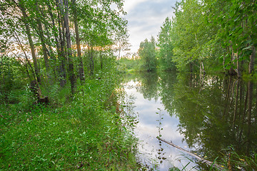 Image showing Forest Lake    