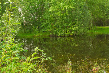 Image showing Forest Lake    