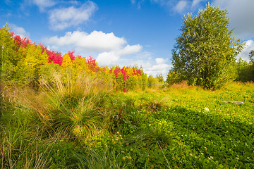 Image showing Autumn approaches