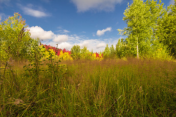 Image showing Autumn approaches