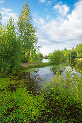 Image showing Forest Lake    