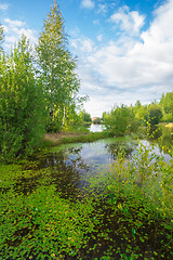 Image showing Forest Lake    