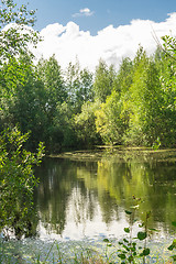 Image showing Forest Lake    