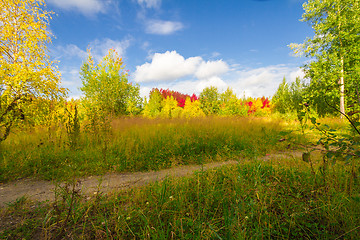 Image showing Autumn approaches