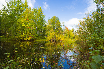 Image showing Autumn approaches