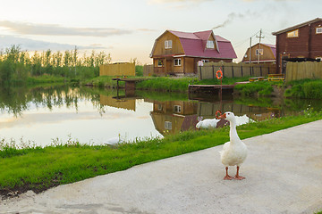 Image showing At the pond  