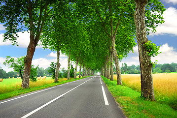 Image showing French country road
