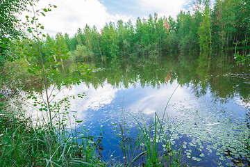 Image showing Forest Lake    