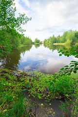 Image showing Forest Lake    