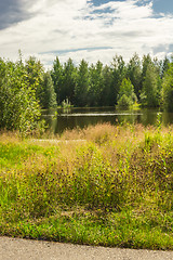 Image showing Forest Lake    