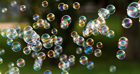 Image showing Soap bubbles