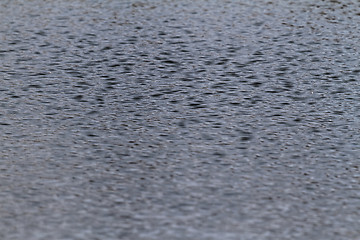 Image showing The water