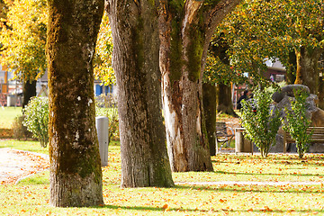 Image showing Green park