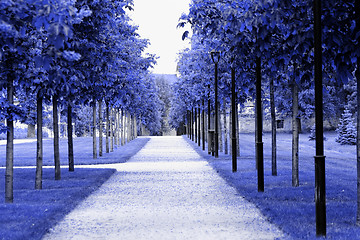 Image showing Blue park