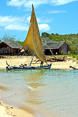 Image showing pirogue beach seaweed in indian nosy be   sand isle          