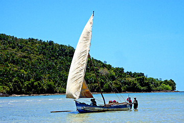 Image showing pirogue beach seaweed in indian ocean madagascar  people   sand 