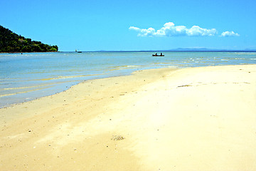 Image showing nosy be  beach seaweed in indian ocean madagascar  people   boat