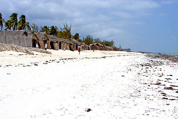 Image showing seaweed beach   in home     sand isle  sky  and sailing