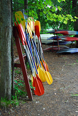 Image showing Kayak paddles