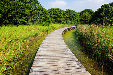 Image showing Wooden Bridge over a Pond