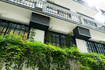 Image showing Classic style balcony with green plant at summer time