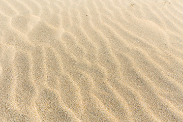 Image showing Sand