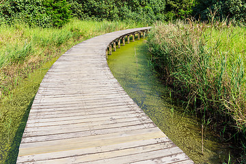 Image showing Wooden walkway