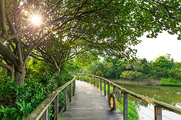 Image showing Wood bridge in the forest